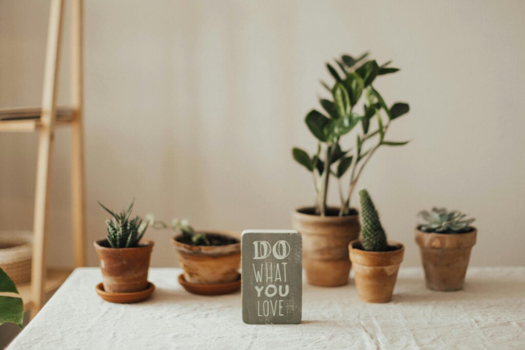 Aesthetic indoor setting with potted plants and motivational sign. Perfect for nature-inspired interiors.