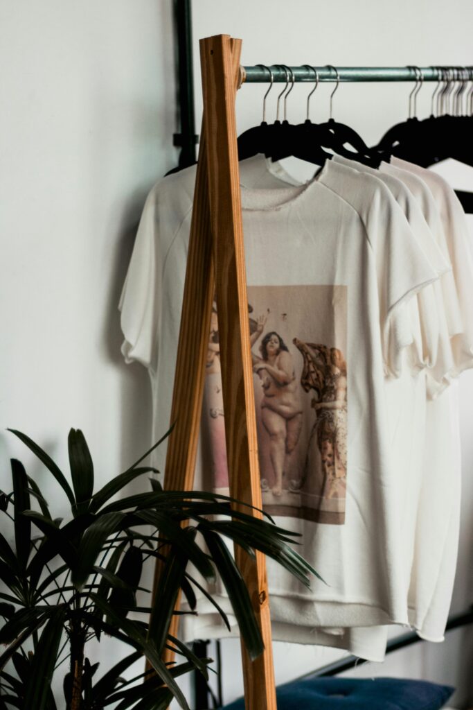 pexels-photo-2112651-2112651 Stylish indoor clothing rack featuring white t-shirts with classical art prints in a minimalist setting.
