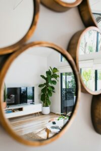 Stylishly designed modern living room with a cozy atmosphere and a green plant.