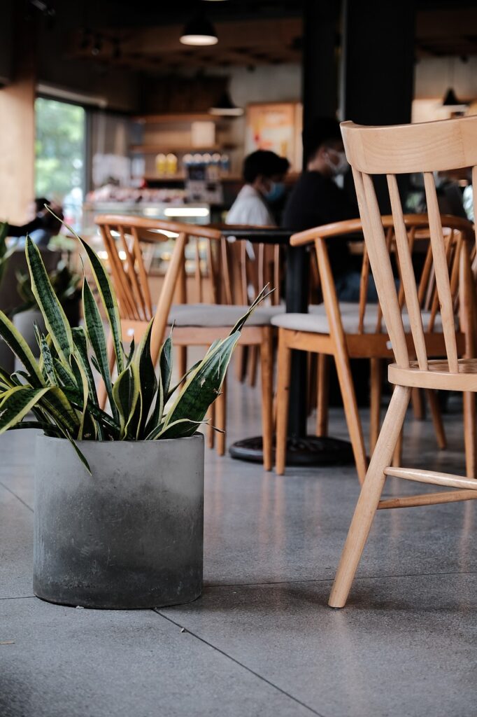 coffee, desk, business, tea, nature, meeting, working, minimalist, tree, retro, style, modern